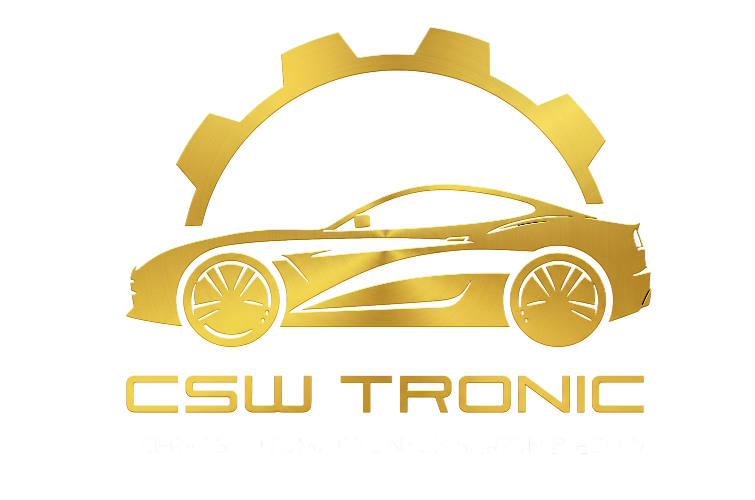 CSW TRONIC logo